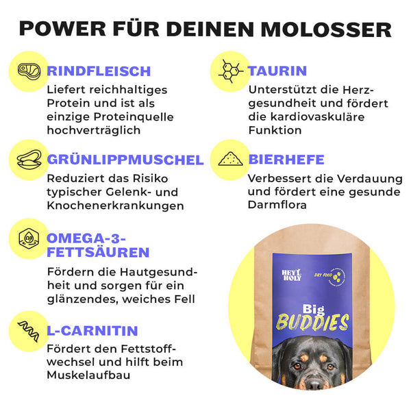 Inhaltsstoffe HEY HOLY Big Buddies: Rindfleisch, Taurin und L-Carnitin speziell für die Herz- und Muskelfunktion bei Molossern