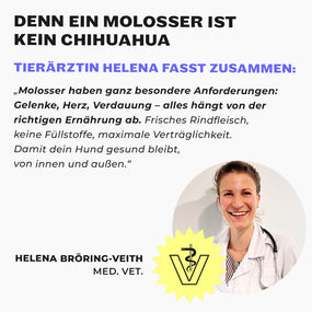 Tierärztin Helena Bröring-Veith im weißen Kittel, Veterinär-Logo und Zitat über Molosser-Ernährung