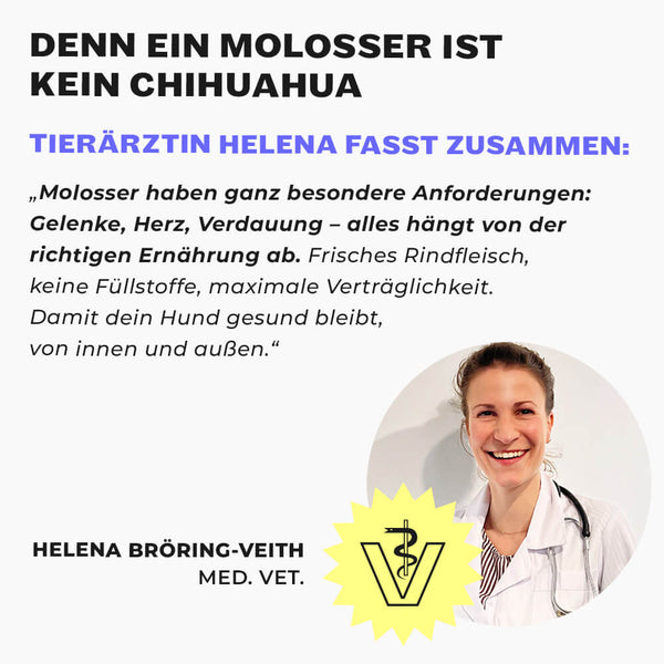 Tierärztin Helena Bröring-Veith im weißen Kittel, Veterinär-Logo und Zitat über Molosser-Ernährung