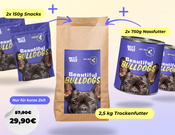 Beautiful Bulldogs Bundle