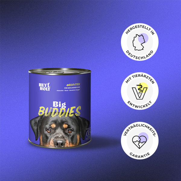 Big Buddies - Trockenfutter