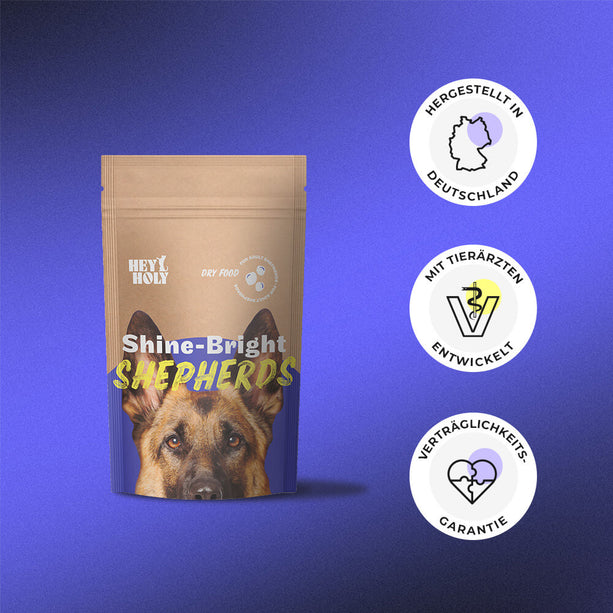 Shine-Bright Shepherds - Sucha karma