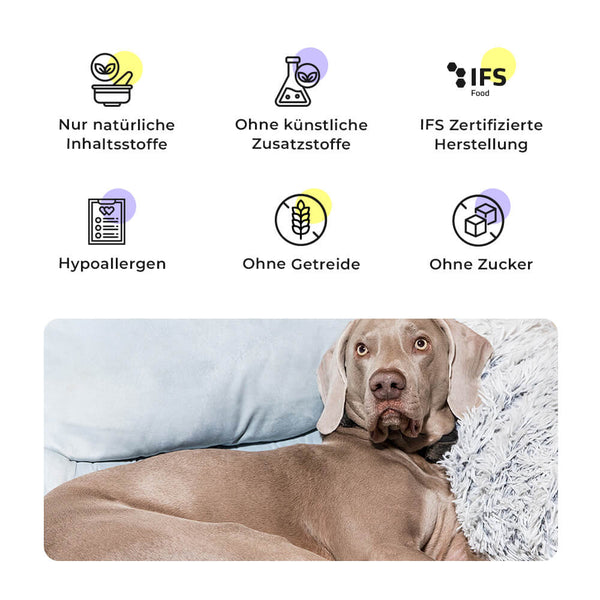 Grauer Weimaraner auf einem Sofa, daneben Qualitätsmerkmale des Heroic Hunters Trockenfutters