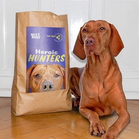 Brauner Magyar Vizsla liegt neben Heroic Hunters Futtersack von HEY HOLY