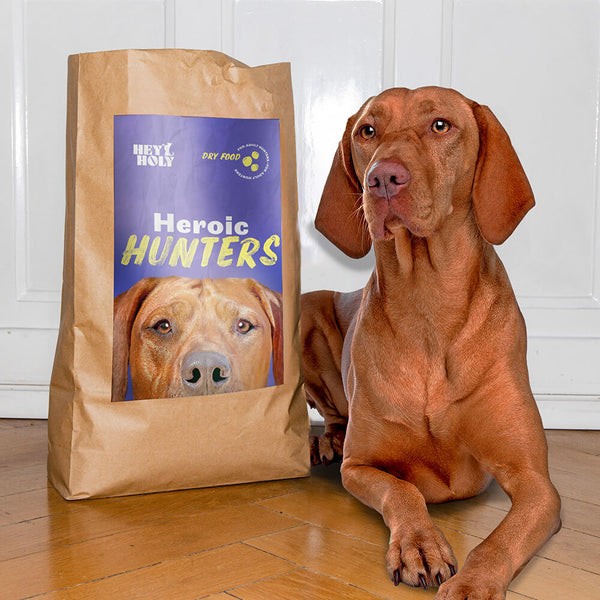 Brauner Magyar Vizsla liegt neben Heroic Hunters Futtersack von HEY HOLY