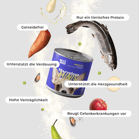 Marvelous Minis - Nassfutter - Huhn