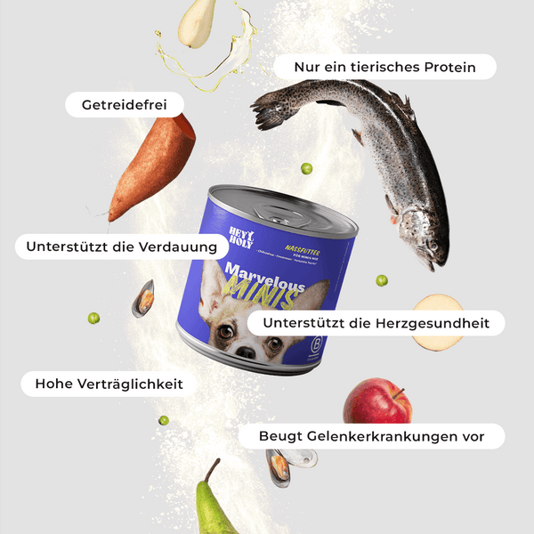 Marvelous Minis - Nassfutter - Huhn