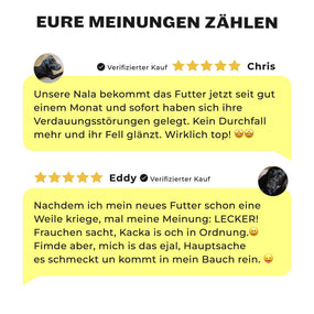 5-Sterne Kundenbewertungen für Ravishing Retrievers Trockenfutter für Retriever