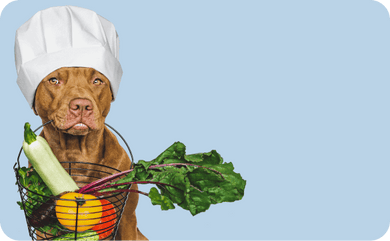 Dürfen Hunde Kohlrabi essen