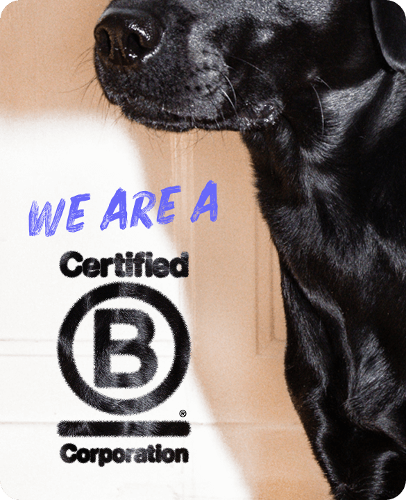 We are a certified B Corporation Banner