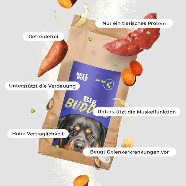 Big Buddies - Trockenfutter