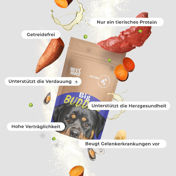 Big Buddies Sample Produkt mit Vorteilen