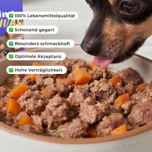 Chihuahua leckt HEY HOLY Frischfutter mit Fleischstücken und Karotten aus einer Keramikschale. Eingeblendete Auslobungen: 100% Lebensmittelqualität, schonend gegart, besonders schmackhaft, optimale Akzeptanz, hohe Verträglichkeit.