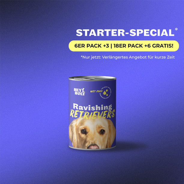 Ravishing Retrievers - Mokra karma