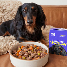 Dazzling Dachshunds - Frischfutter