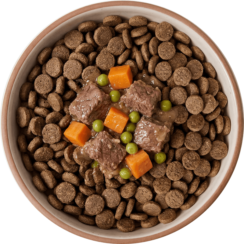 Trockenfutter mit Frisch-Topping