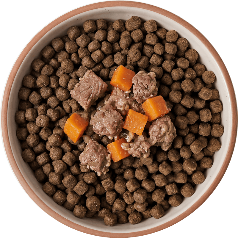 Trockenfutter mit Frisch-Topping