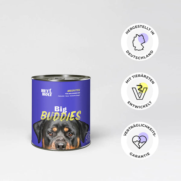 Big Buddies Nassfutter günstig online bestellen
