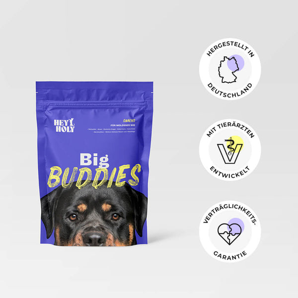 hey holy hundefutter test Big Buddies - Snacks