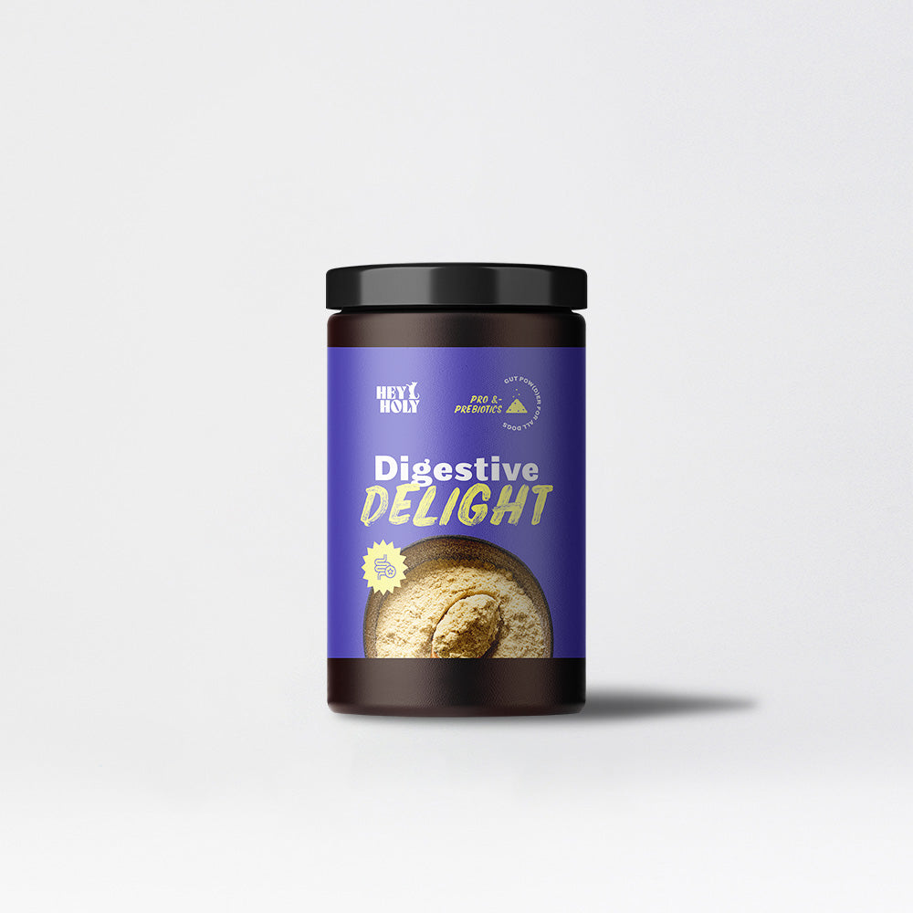 HEY HOLY Digestive Delight Magen-Darm-Kur