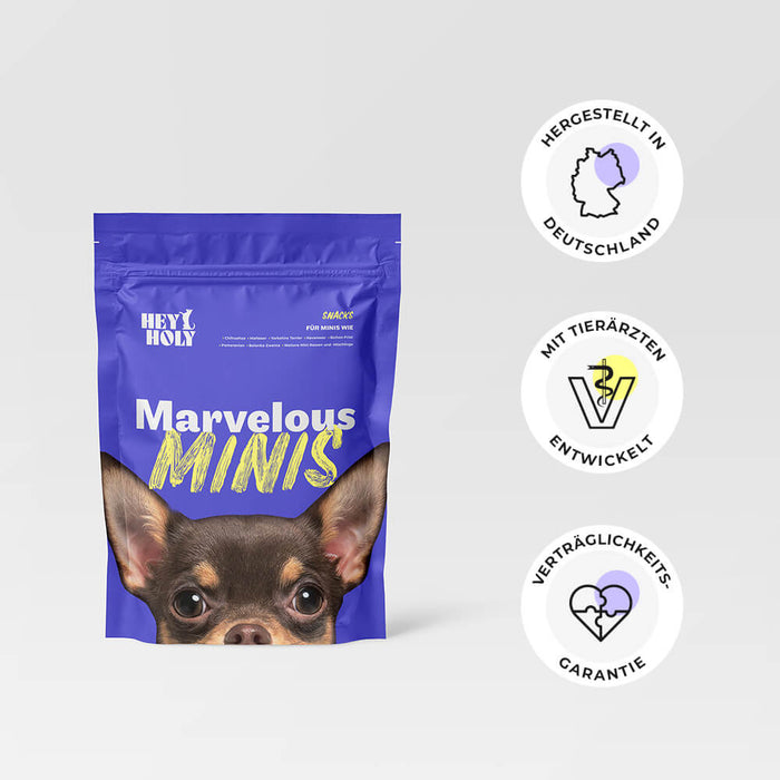 HEY HOLY Marvelous Minis Snacks