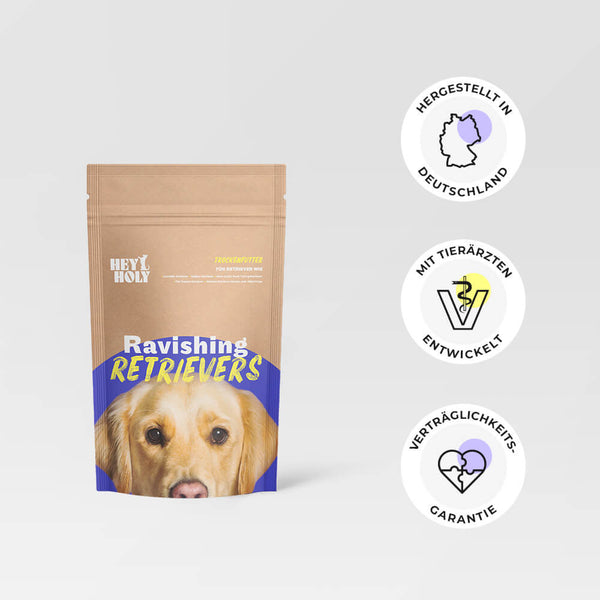 labrador trockenfutter Hunde Trockenfutter online bestellen