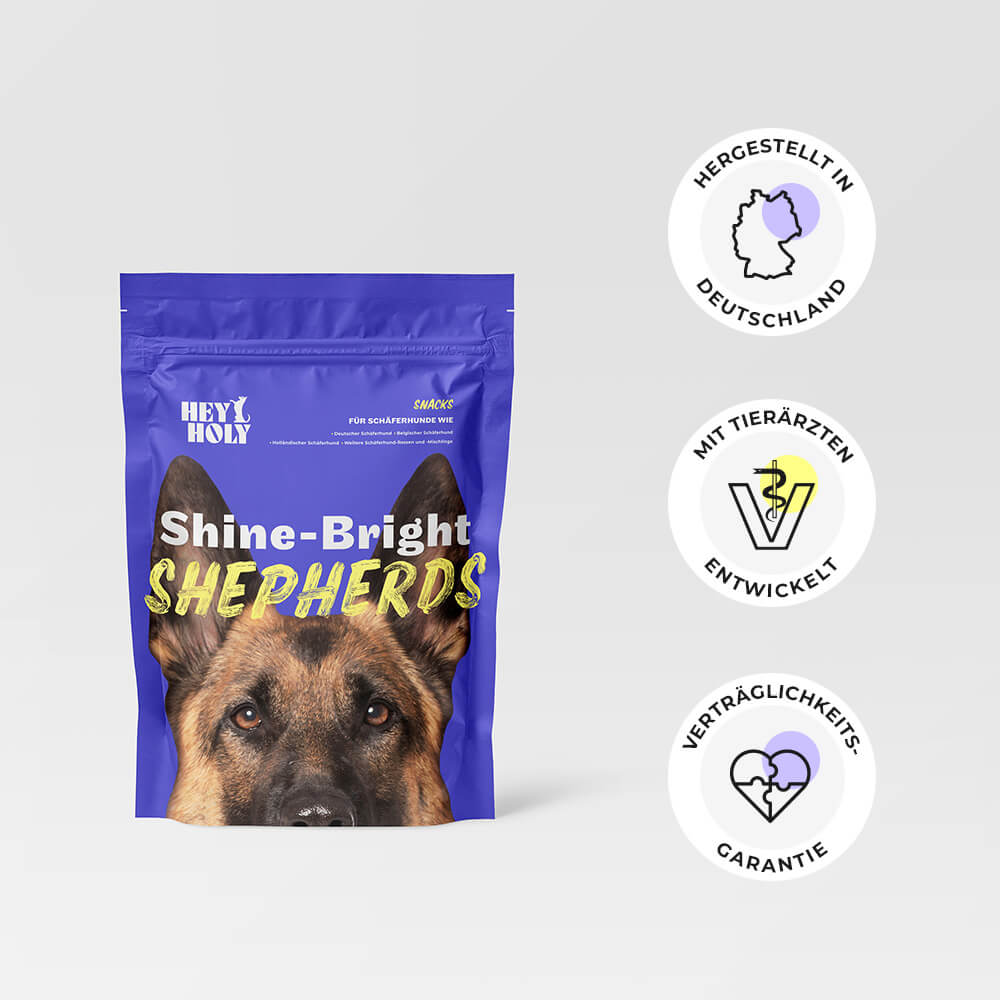Shine-Bright Shepherds - Snacks