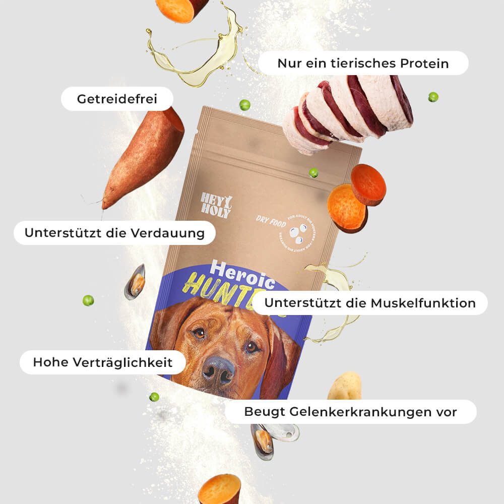 Heroic Hunters Sample Produktbild mit Vorteilen