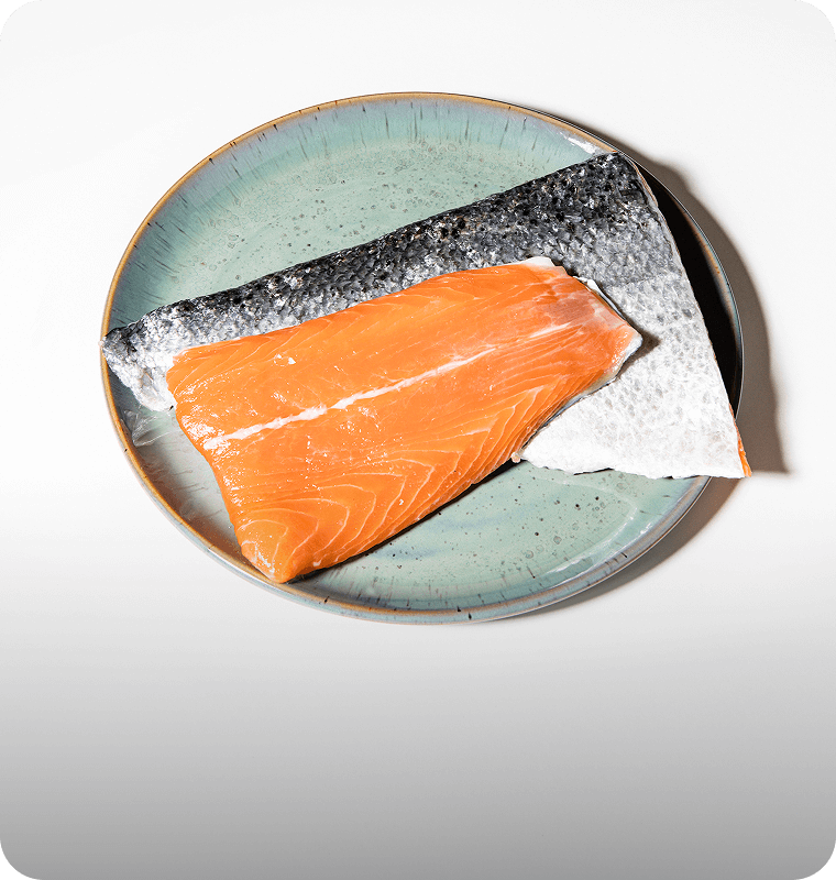 40% frischer Lachs als einzige Proteinquelle