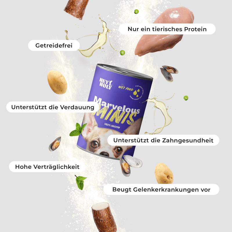 HEY HOLY Marvelous Minis Nassfutter Vorteile
