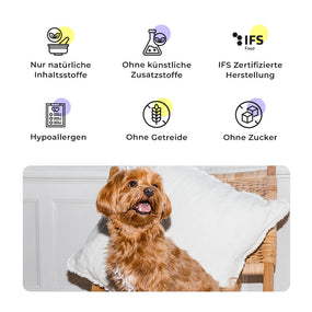 Yorkshire Terrier sitzt auf einem Baststuhl, daneben Qualitätsmerkmale des Marvelous Minis Forelle Trockenfutters