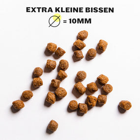 HEY HOLY Marvelous Minis Trockenfutter Kibbles Nahaufnahme