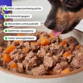 Marvelous Minis - Trockenfutter - Forelle