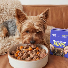 Marvelous Minis - Trockenfutter - Forelle