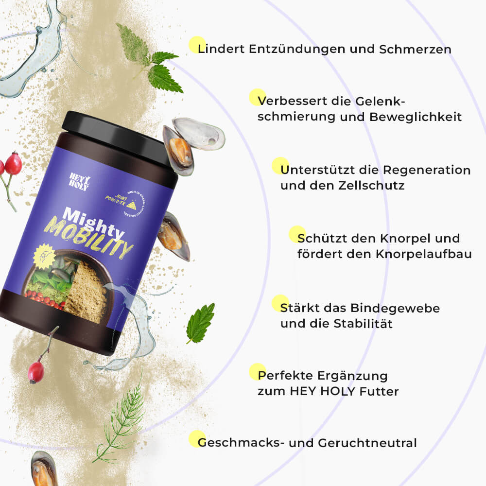Mighty Mobility Gelenkpulver Vorteile