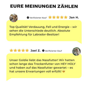 Kundenstimmen HEY HOLY Ravishing Retrievers