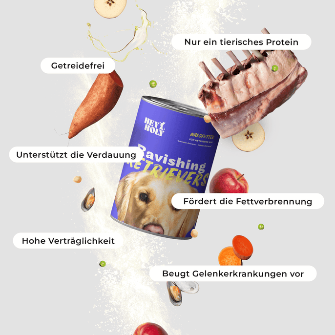 Ravishing Retrievers - Wet Food -  400g