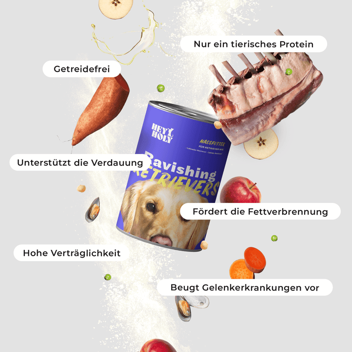 Ravishing Retrievers - Wet Food -  400g