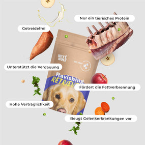 Ravishing Retrievers - Croquettes
