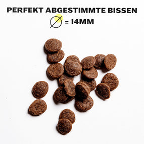 Sensitive - Dry Food