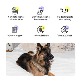 Deutscher Schäferhund auf einem Bett, daneben Qualitätsmerkmale des Shine-Bright Shepherds Trockenfutters