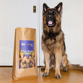 Brauner Schäferhund sitzt neben einem Shine-Bright Shepherds Trockenfutter Futtersack