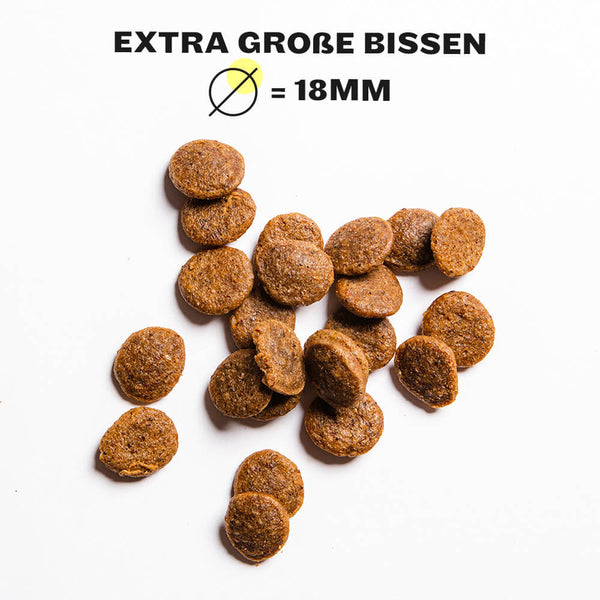 Shine-Bright Shepherds Trockenfutter  Kibbles Nahaufnahme