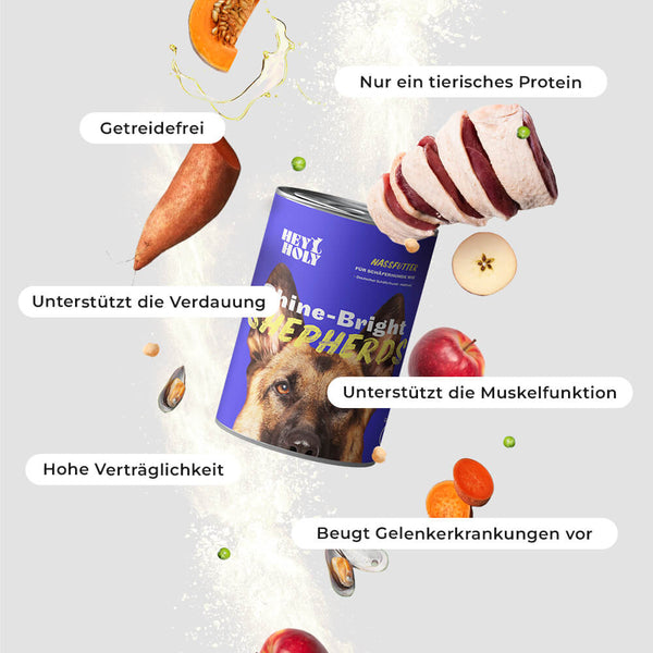 Shine-Bright Shepherds - Nassfutterprobe