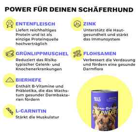 Shine-Bright Shepherds - Nassfutterprobe