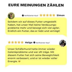 Shine-Bright Shepherds - Nassfutterprobe